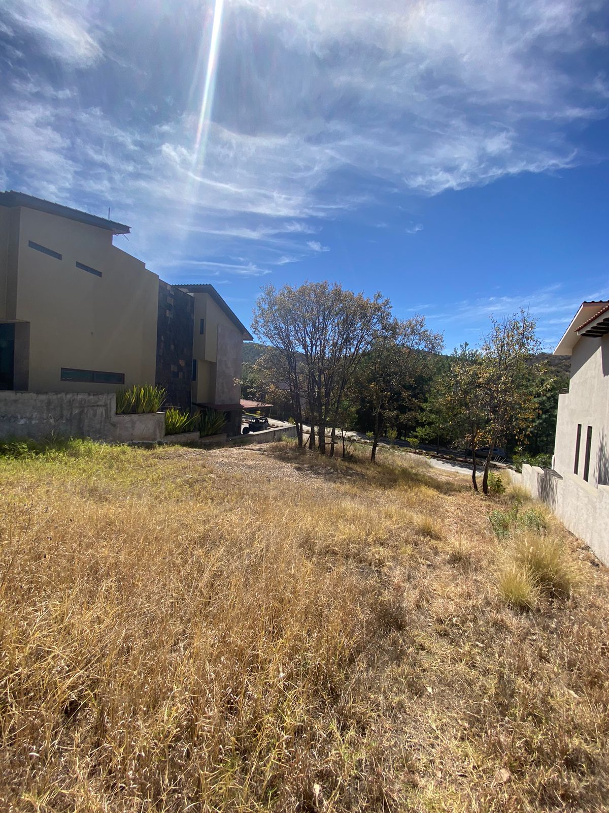 TERR CAMPO M INMUEBLES INMOBILIARIA 1 (4)