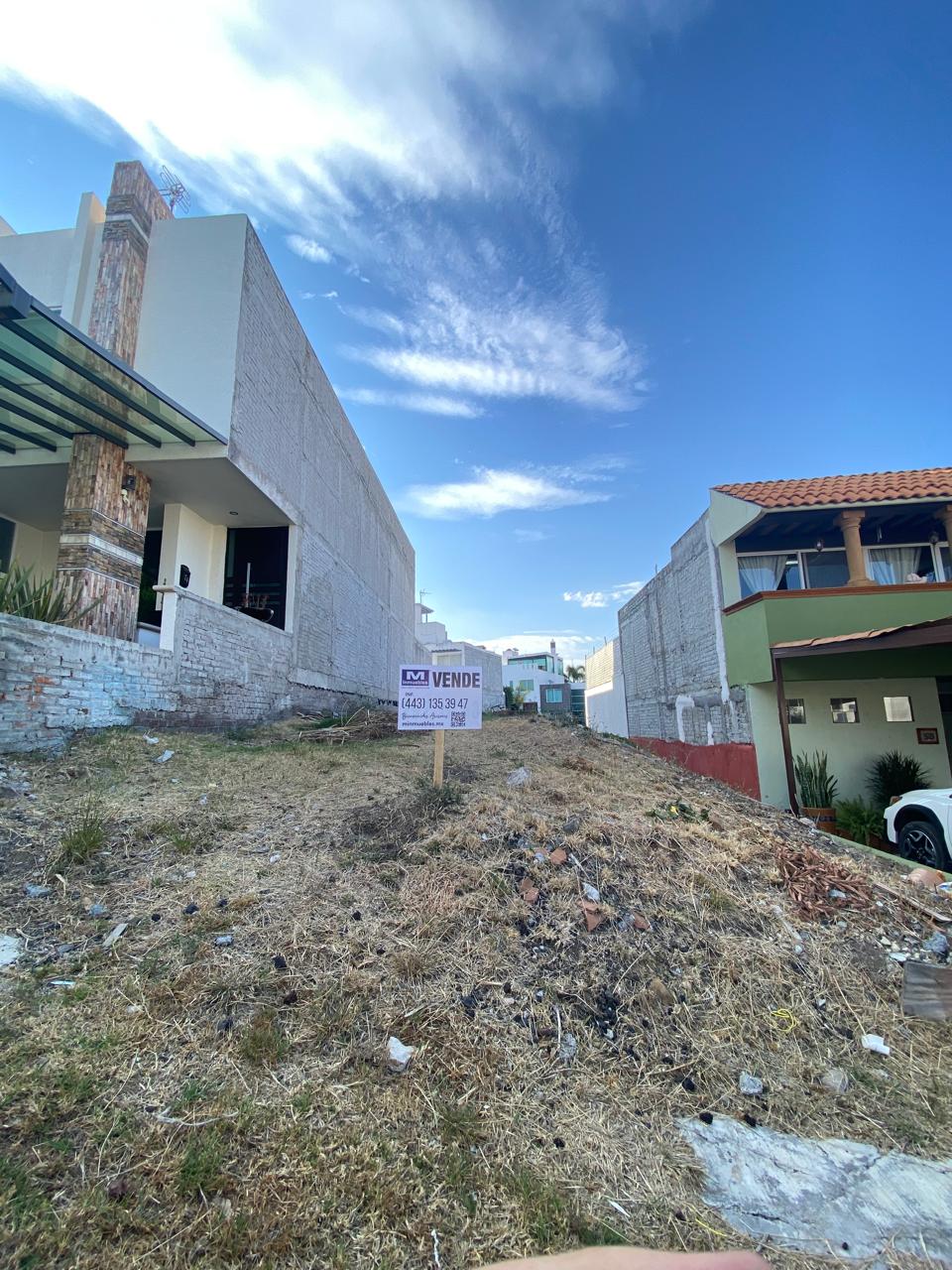 WhatsApp Image 2024-07-04 at 3.53.53 PM