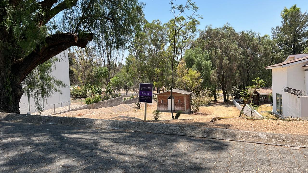 WhatsApp Image 2024-07-05 at 3.20.23 PM