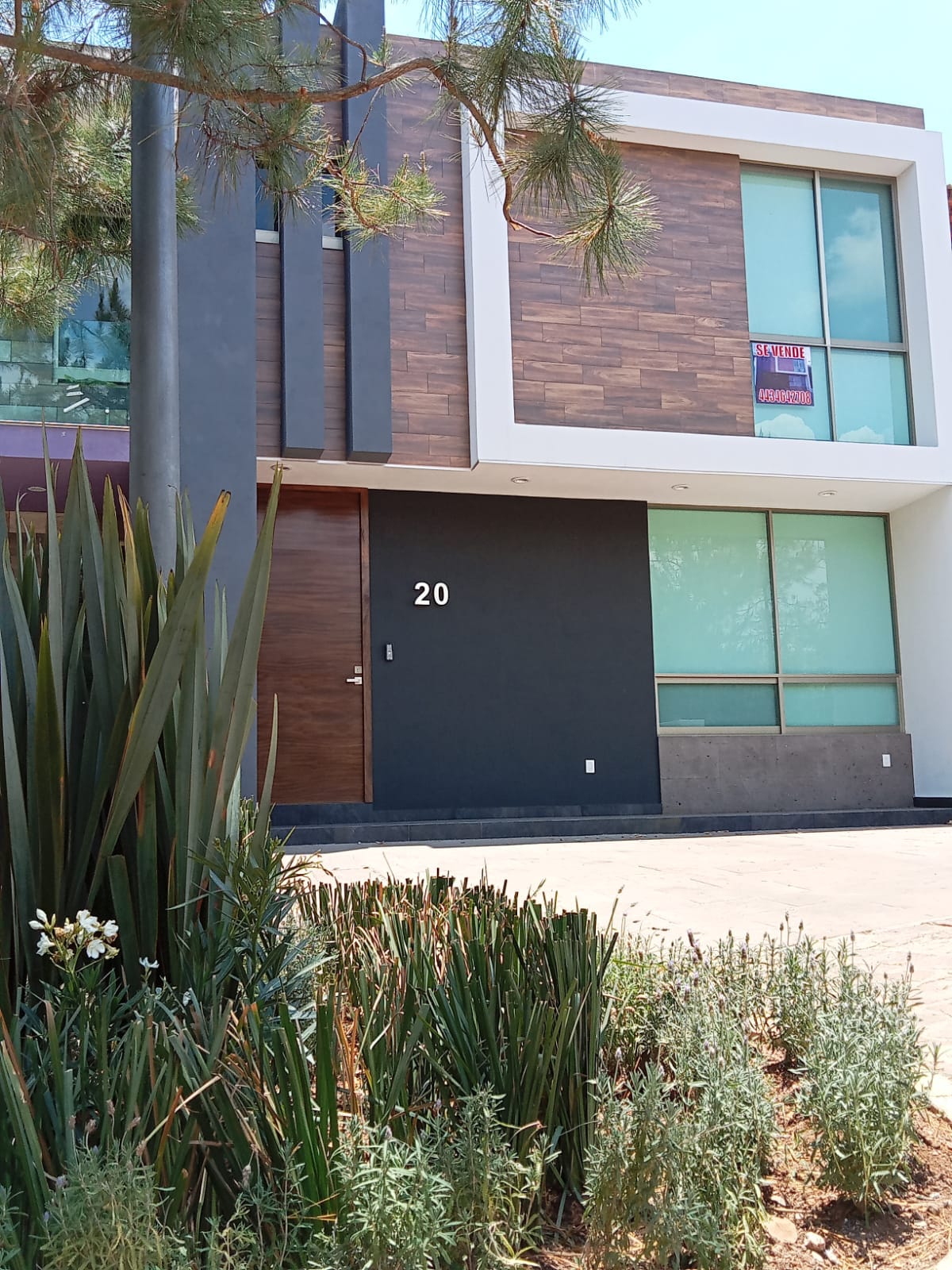 WhatsApp Image 2024-07-05 at 3.22.05 PM (2)