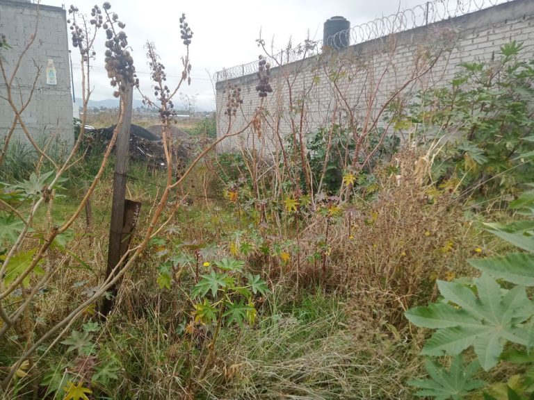 Terreno en Venta en Col. Alondra, Morelia. M Inmuebles, Inmobiliaria en Morelia (3)
