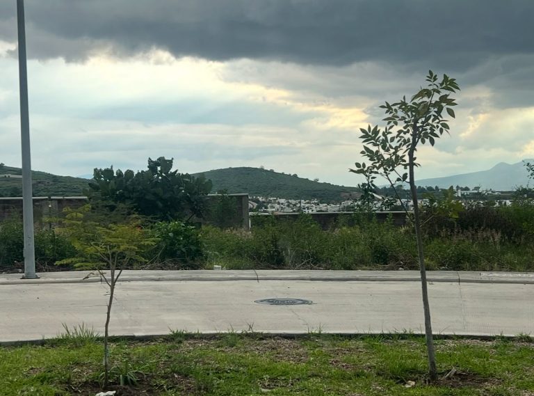 78a34a0b-eb32-4dbf-becc-4a4cd21ec7e6