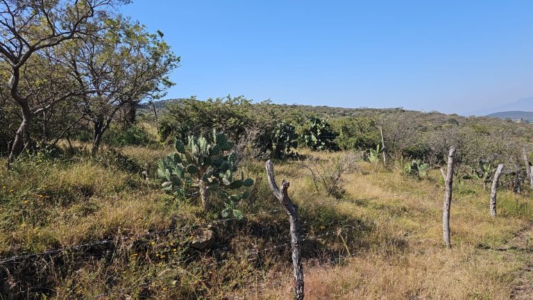 86a4ed9b-fe1a-4491-a5a6-9c51bf3b01ae