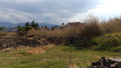 M Inmuebles Morelia (1)