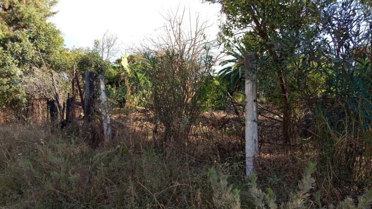 Terreno venta M Inmuebles Morelia (1)