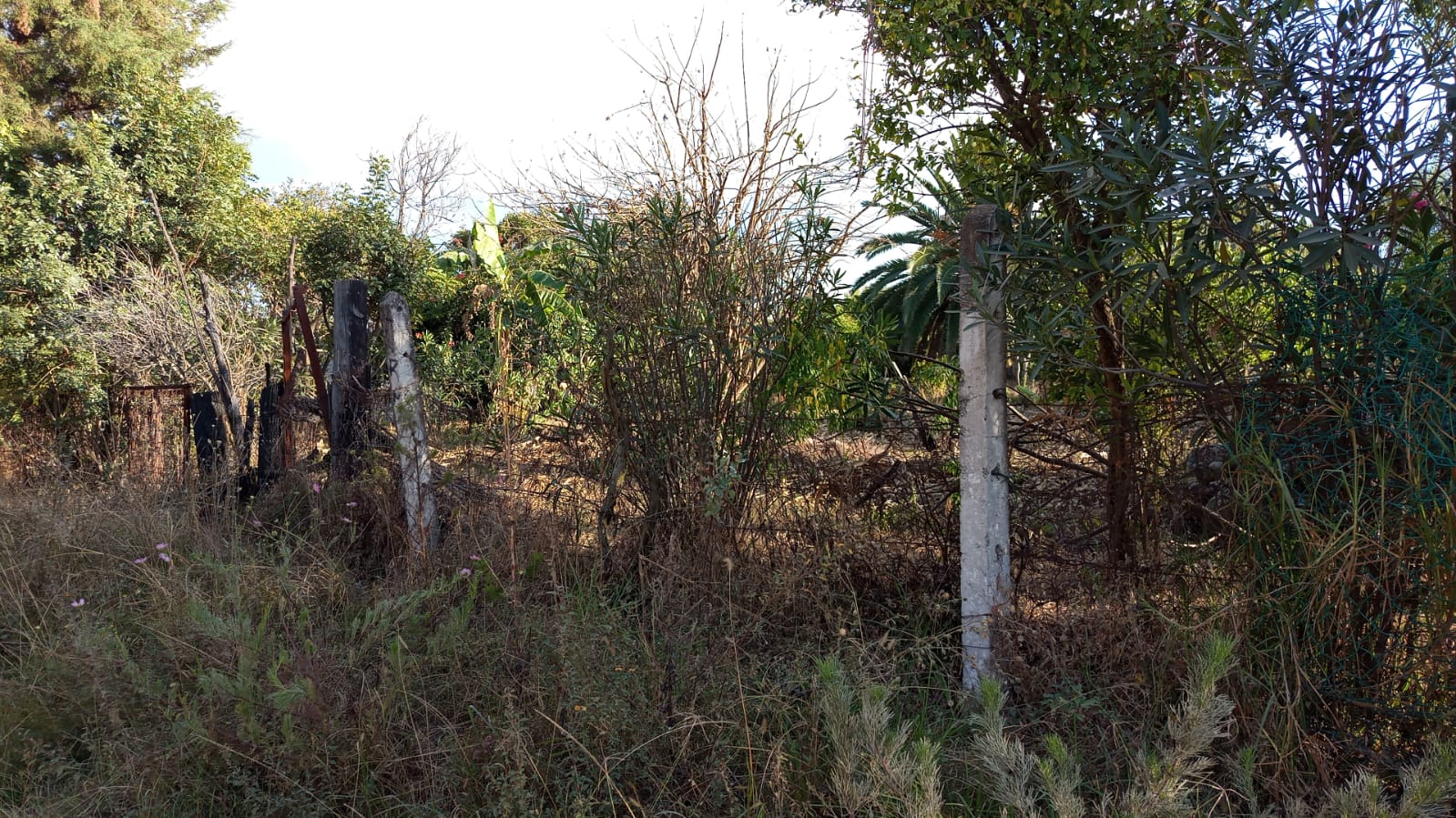 Terreno venta M Inmuebles Morelia (1)