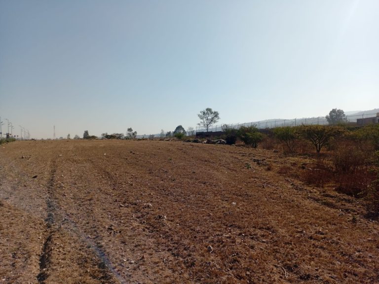 WhatsApp Image 2026-02-06 at 5.54.52 PM (1)