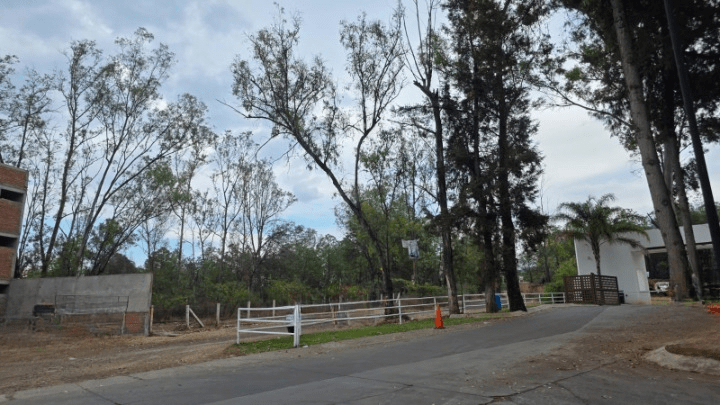 1b0f1c7e-e3c0-402a-8f09-3598c51eeded