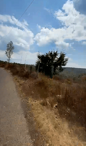 JESÚS MONTE_cleanup