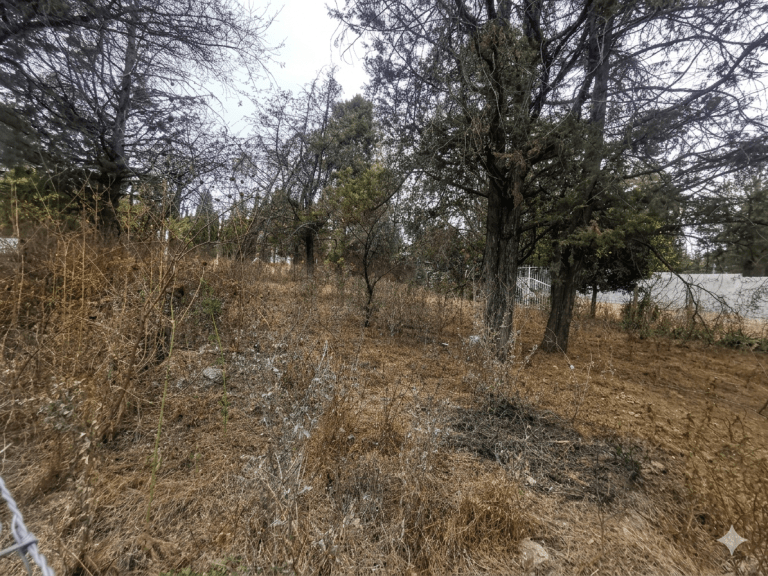 TERRENO VENTA M INMUEBLES INMOBILIARIAS MORELIA (1)