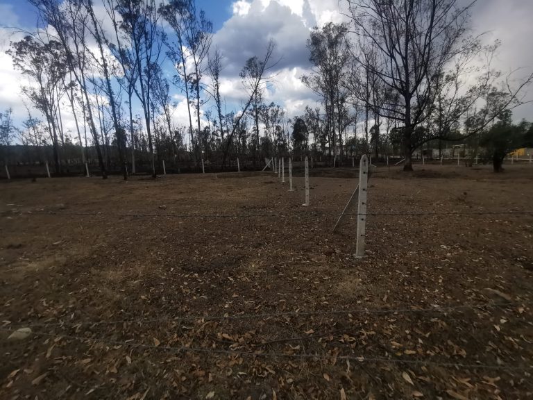 TERRENO VENTA M INMUEBLES INMOBILIARIAS MORELIA (2)