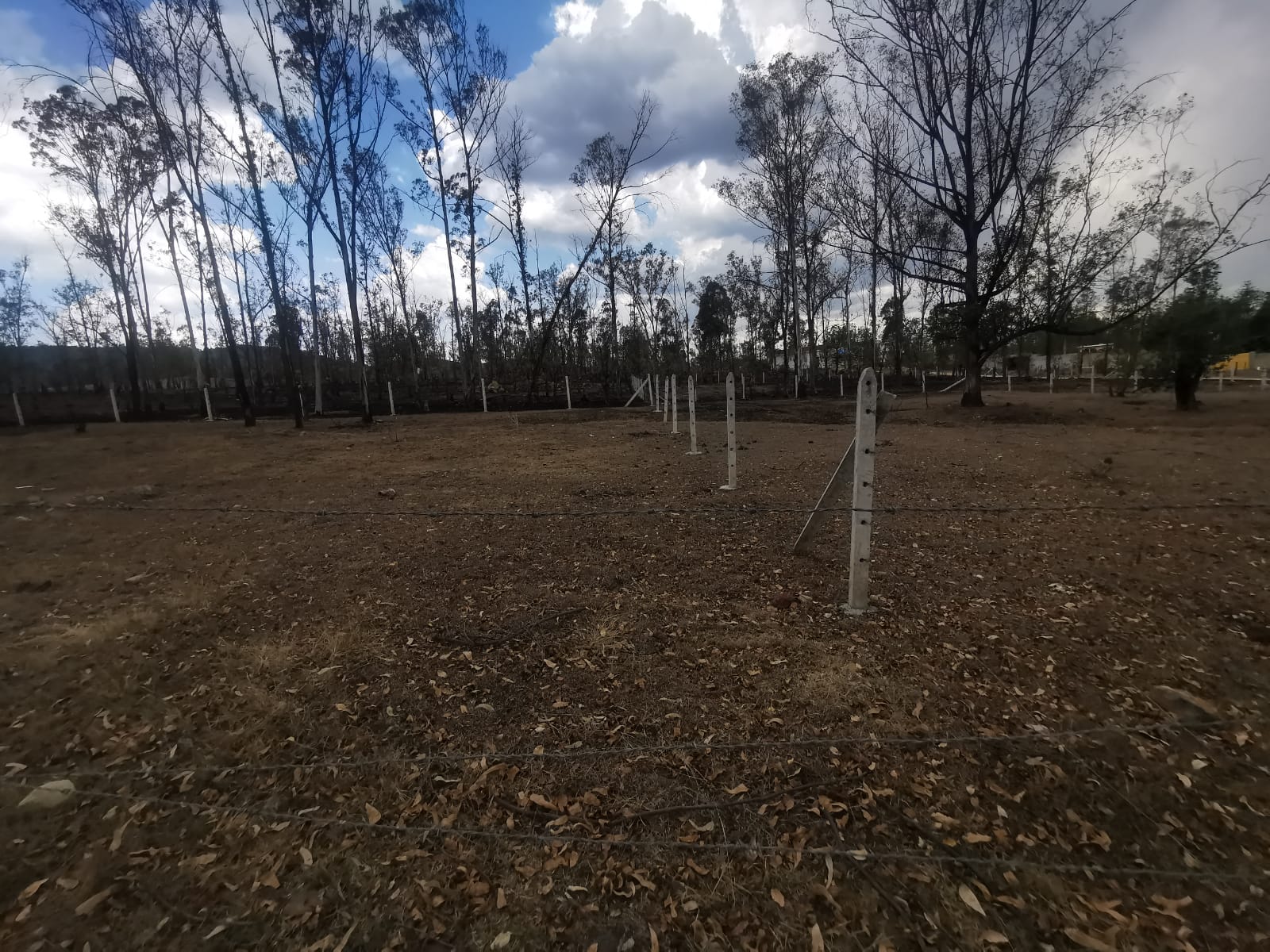 TERRENO VENTA M INMUEBLES INMOBILIARIAS MORELIA (2)