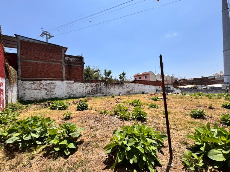 TERRENO VENTA M INMUEBLES INMOBILIARIAS MORELIA (4)
