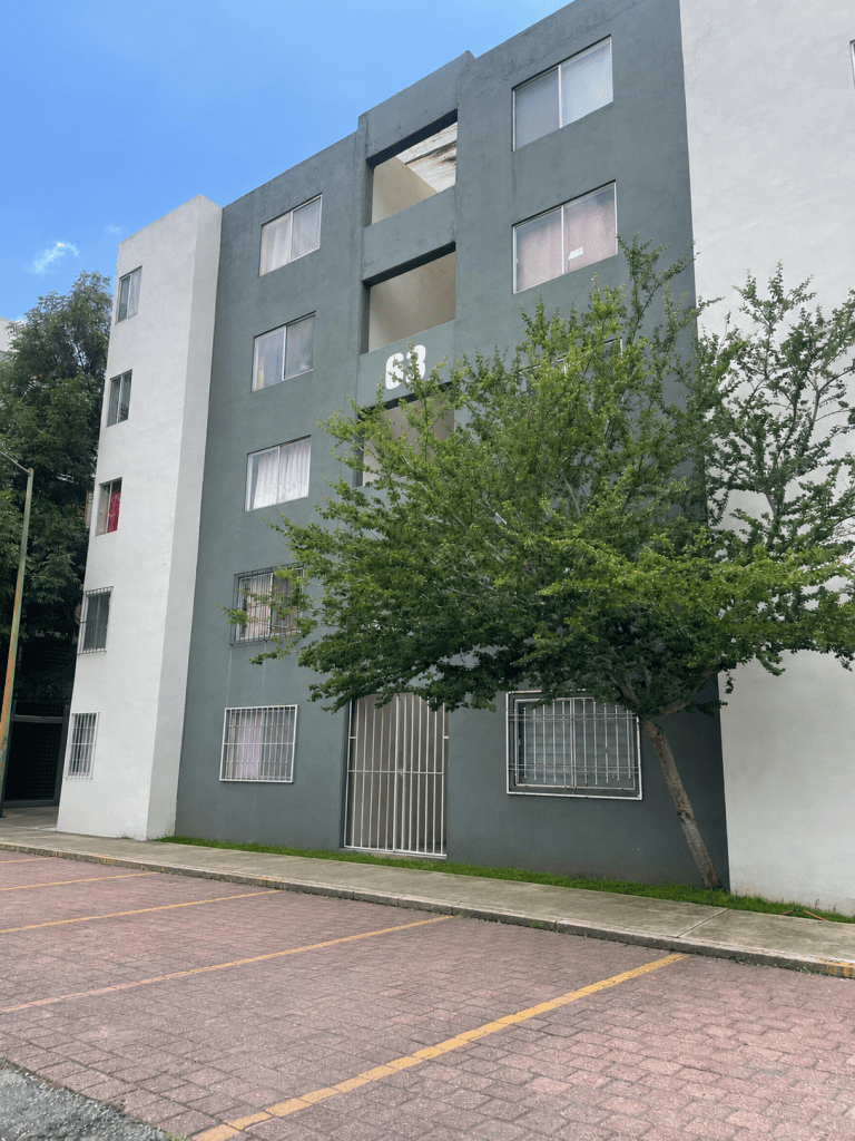 hinojo